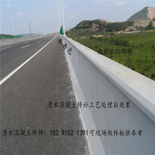 大型項目